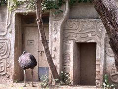 -北京动物园