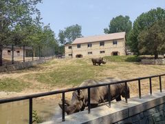 -大连森林动物园