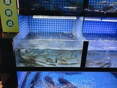 -千岛湖小鱼儿·淳安匠心农家菜