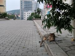 -汉宫汤泉汗蒸洗浴(五四广场店)