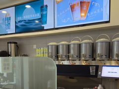 -雾与山茶(大禹城店)