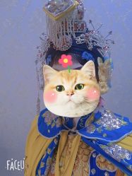 -梨园天地京剧摄影(玲珑天地店)