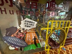 -卡通尼·Safari非洲探索乐园·生日会(金桥国际商业广场店)