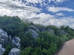 -长虫山生态公园风景林