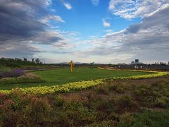 -赛汗塔拉风情园