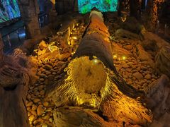 -乐山乌木文化博览苑