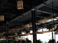 -桃源村铁锅炖鱼(体育馆道店)