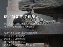 -曼朗心理咨询·旗舰店