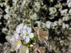 -龙美术馆(西岸馆)