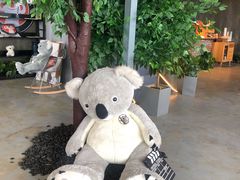 -了不起的考拉咖啡店(高新店)