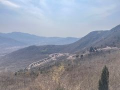 -樱花山风景区