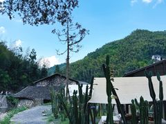 -MOJ coffee(瓯海泽雅水碓坑店)