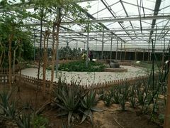 android_upload_pic-上海都市菜园