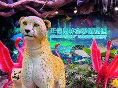 -正佳雨林生态植物园