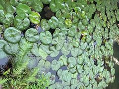 -成都杜甫草堂博物馆