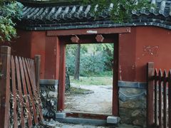 -阳台山自然风景区