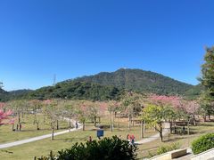 -风云岭森林公园