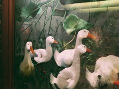 -杭州工艺美术博物馆