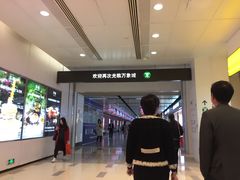 -大剧院(地铁站)