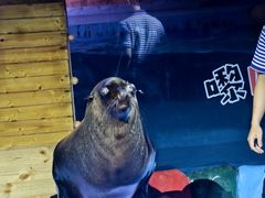 -顺德南宏海立方海洋公园
