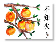 -蕃茄田艺术•美术绘画 •硬笔书法(滨江海威领界店)