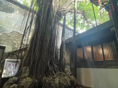 -文儒九号·闽菜馆(三坊七巷店)