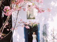 -乌山风景区