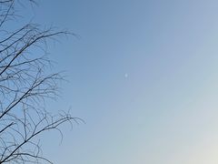 -艾溪湖湿地公园