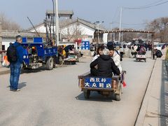 -赵州桥景区