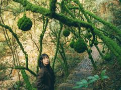 -龙湾潭国家森林公园