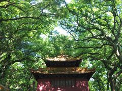 -普陀山风景名胜区-法雨禅寺