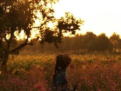 -艾溪湖湿地公园