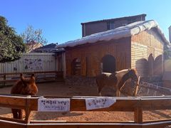 -HERRE·FARM 赫尔露营农场·团建聚会包场