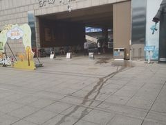 -陕西自然博物馆