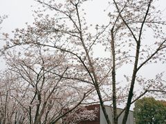 -龙美术馆(西岸馆)