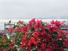 -马拉桑果汁(龙头路总店)