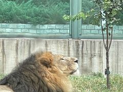 -天津市动物园
