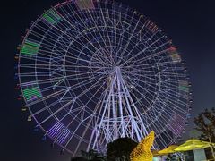 -南昌之星摩天轮