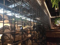 -天山醉美辣子鸡(文艺路店)