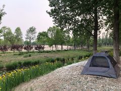 -东郊湿地公园