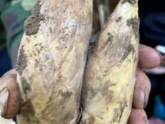 -会稽山峡洞漂流-上青古道