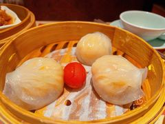 金牌虾饺皇-点都德(华强南店)