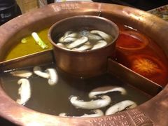 -老诚一锅羊蝎子(黄寺大街店)