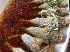 -大金山酒店