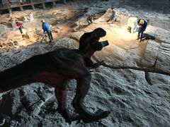 -自贡恐龙博物馆