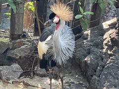 -昆明动物园