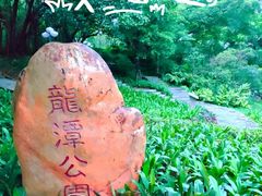 -深圳龙潭公园