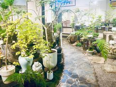 -双季花艺园艺市场(浦东店)