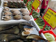 -蚝专家(北滘店)