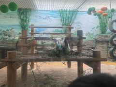 -西霞口神雕山野生动物世界